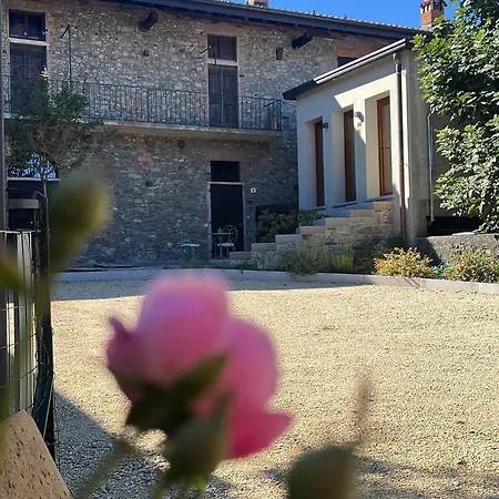 Greenrose Lägenhetshotell