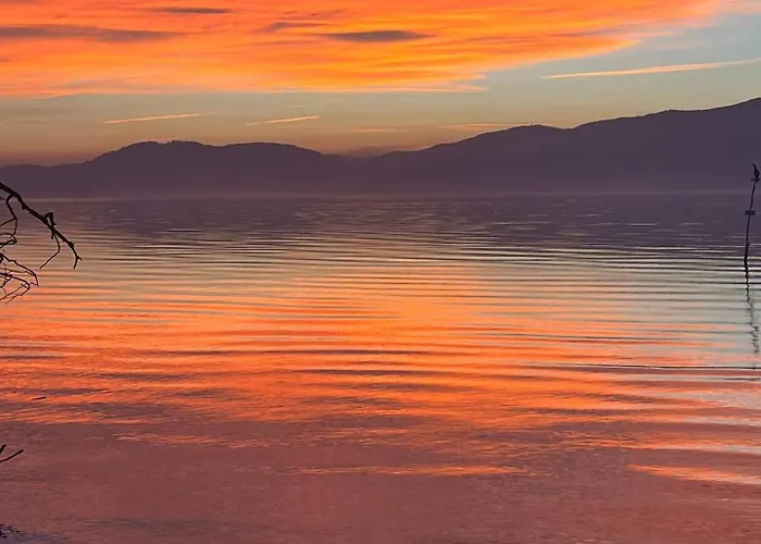 מלון דירות Greenrose Osmate