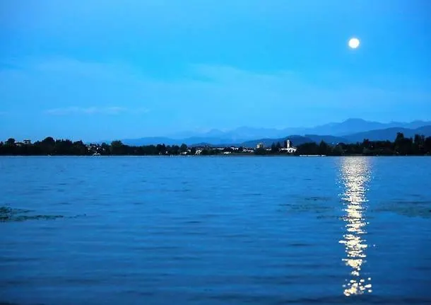 Greenrose Apartahotel 3*